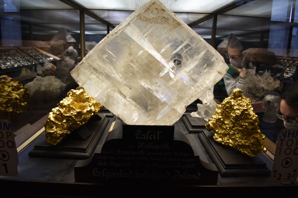 muzeum_p (4).jpg
