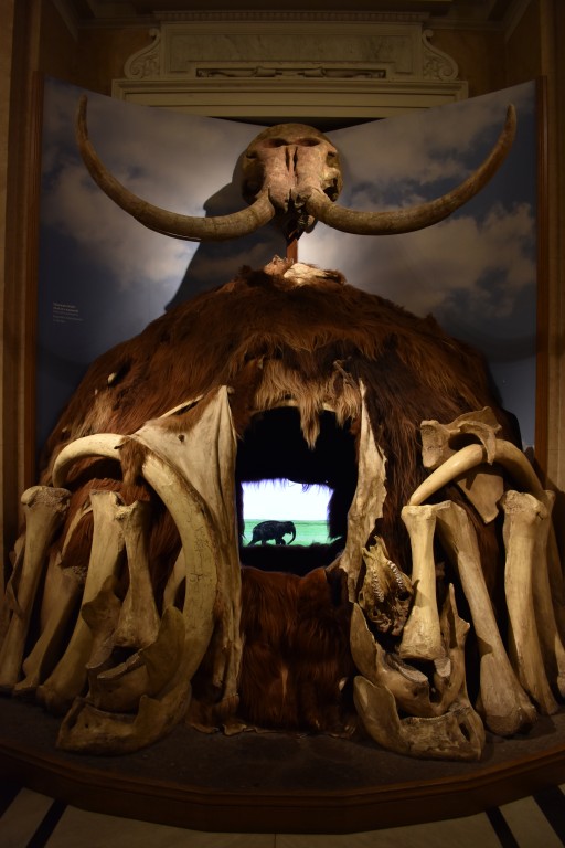 muzeum_p (40).jpg