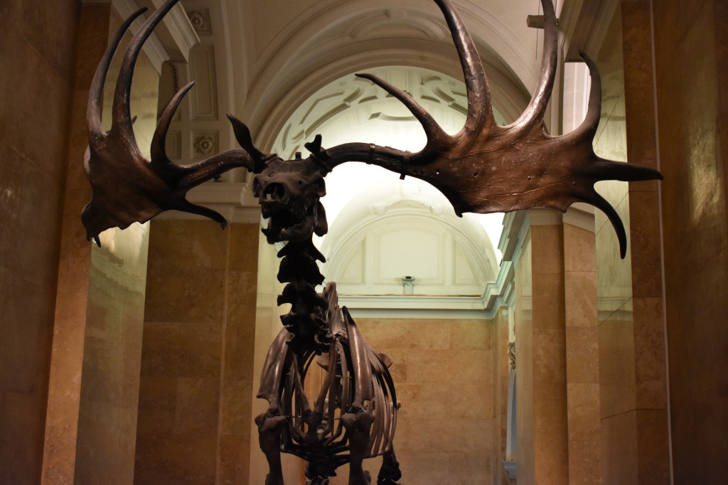 muzeum_p (42).jpg