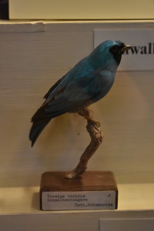 muzeum_p (53).jpg