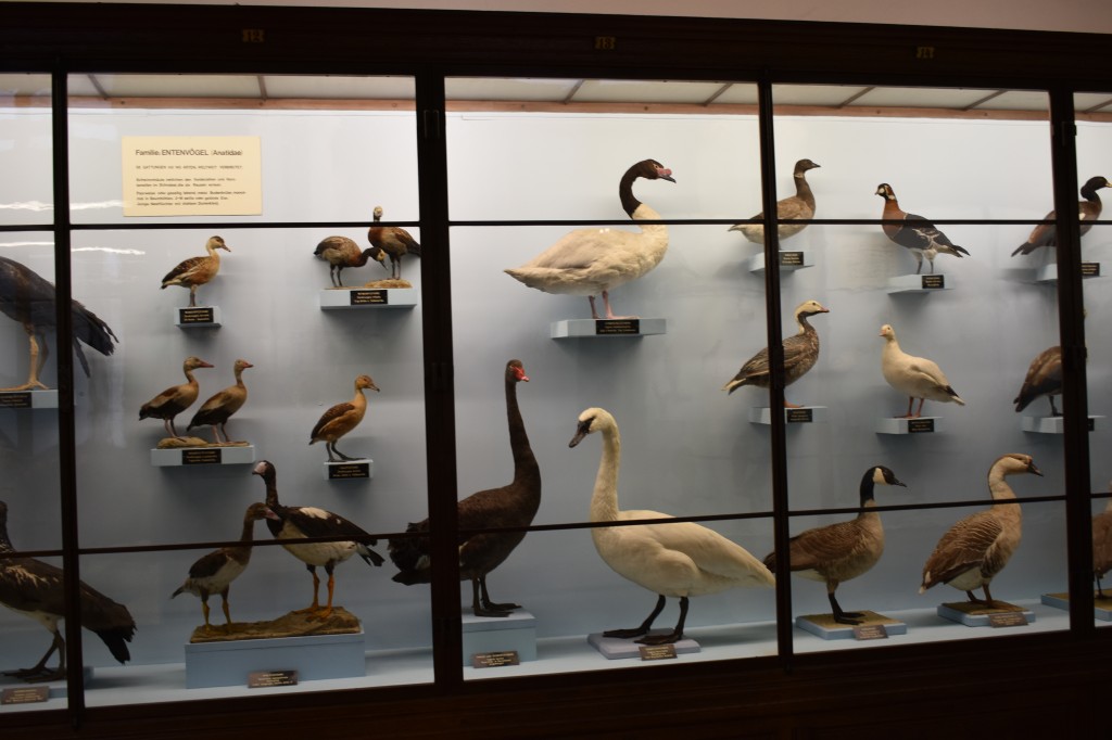 muzeum_p (58).jpg