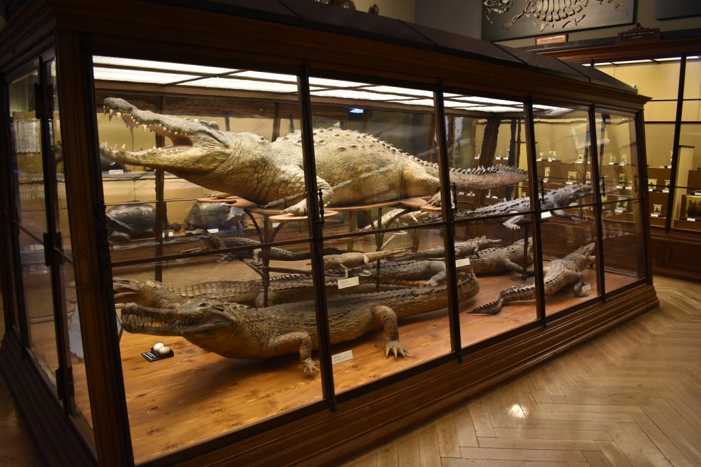 muzeum_p (60).jpg