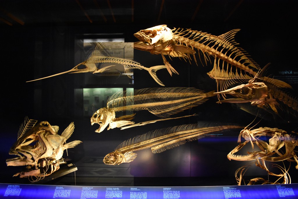 muzeum_p (61).jpg