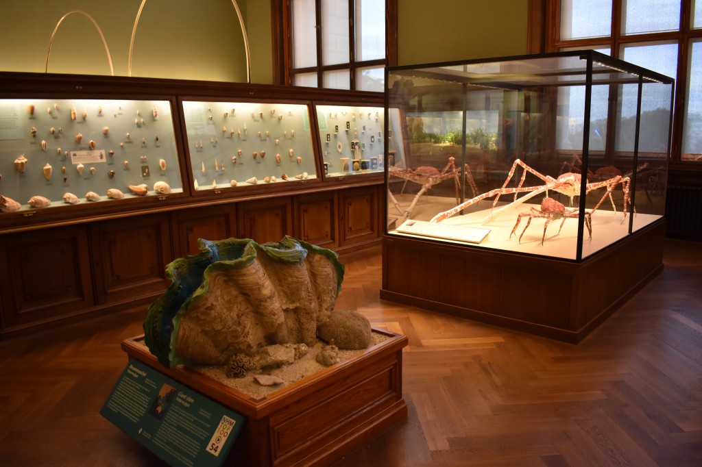 muzeum_p (63).jpg