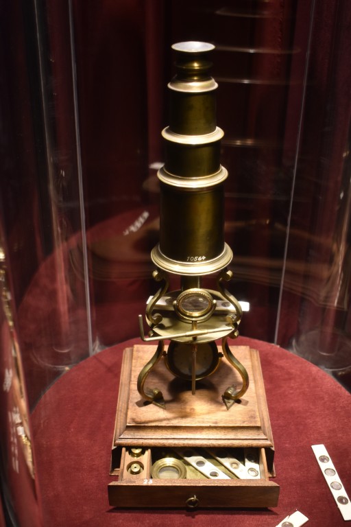 muzeum_p (64).jpg