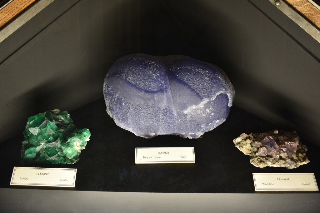 muzeum_p (9).jpg