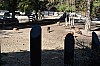 wieden_zoo-01.jpg