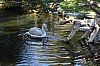 wieden_zoo-03.jpg
