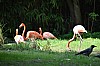 wieden_zoo-06.jpg