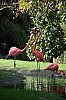 wieden_zoo-07.jpg
