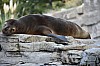 wieden_zoo-12.jpg