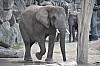 wieden_zoo-15.jpg