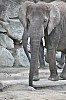 wieden_zoo-16.jpg