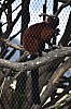 wieden_zoo-17.jpg