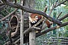 wieden_zoo-18.jpg