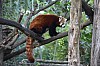 wieden_zoo-19.jpg