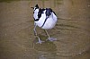 wieden_zoo-20.jpg