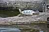 wieden_zoo-23.jpg