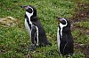 wieden_zoo-25.jpg