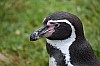 wieden_zoo-26.jpg