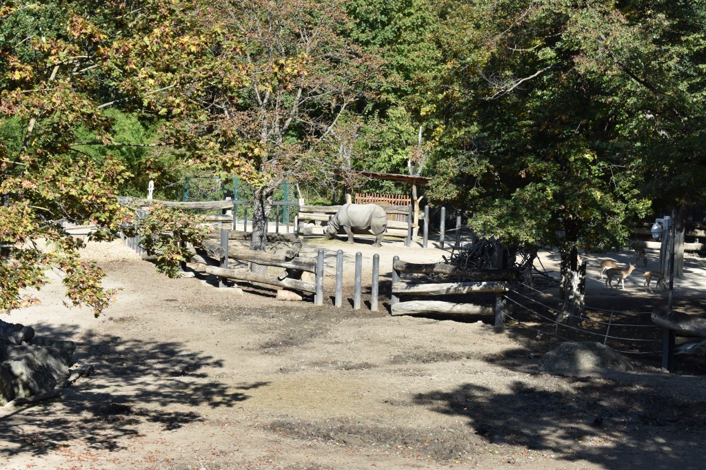 wieden_zoo-02.jpg
